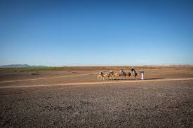 Expérience désert de Jbilat et visite d’une maison berbère